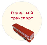 Городской транспорт Бердянск